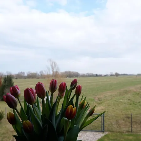Wildrose 3-4 Holiday home *